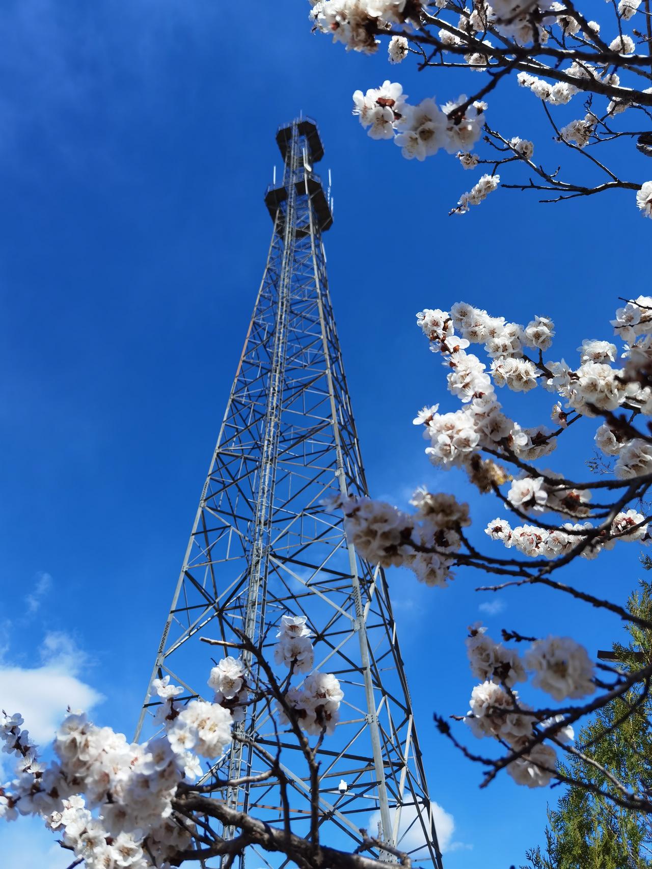 清明时节正是承德山花烂漫时。

承德是座山城，一到春天就是漫山遍野的山花。而山体