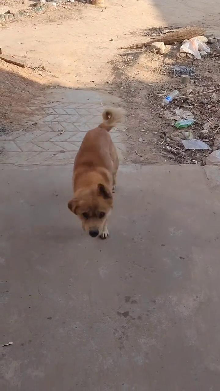 喝了咪咪，来。