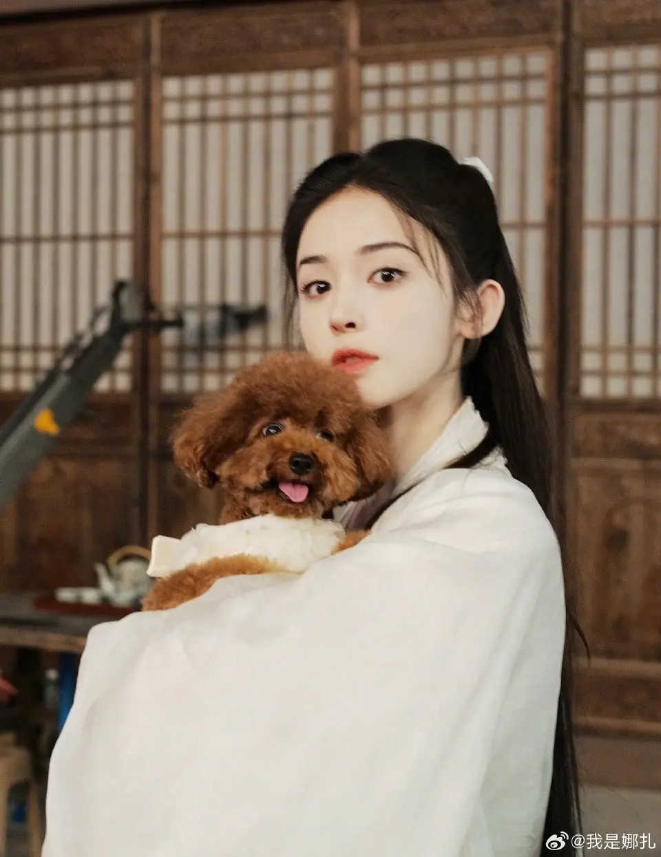 娜扎。