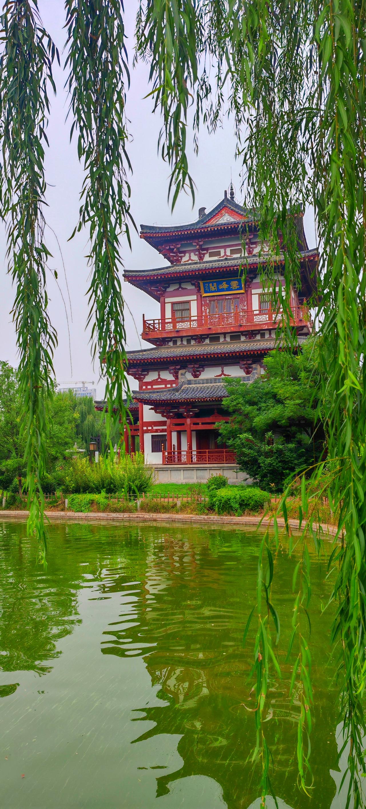【高陵藏着一座“小江南”，地铁10号线直达】从地铁10号线昭慧广场站A1口出来，