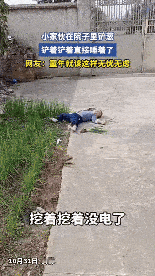戳中成年人内心! 小男孩在院里铲葱，铲着铲着困了，直接大字形躺地上美美睡着了，关