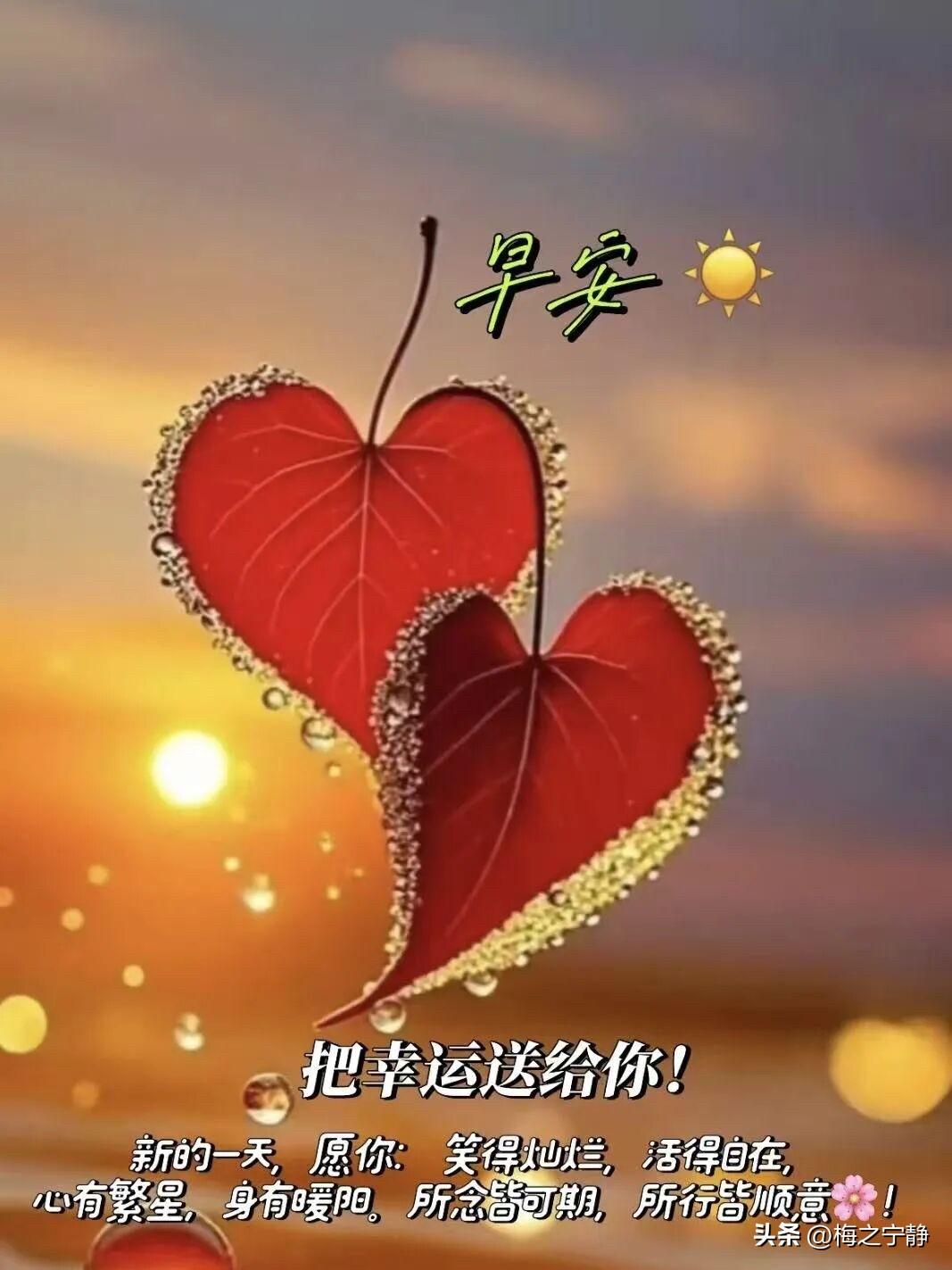 🍂²⁰²⁶/₁₀.₂₁ ᵕ̈ 🌞早安｜晨光暖意🌻☕️🍒🍑
晓旭铺秋陌，