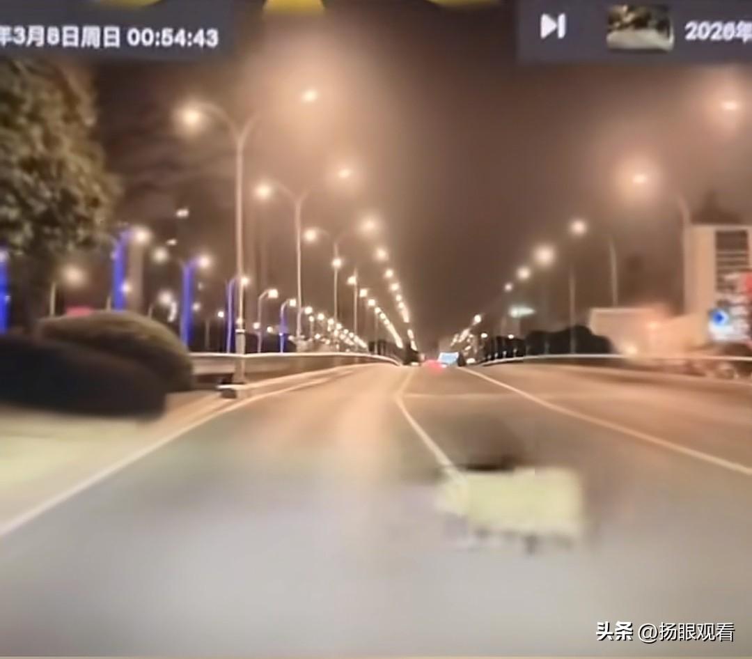 扬州突发！明月湖大桥惊现野猪狂奔🐗扬州人快来看！凌晨明月湖大桥上演现实版疯狂动