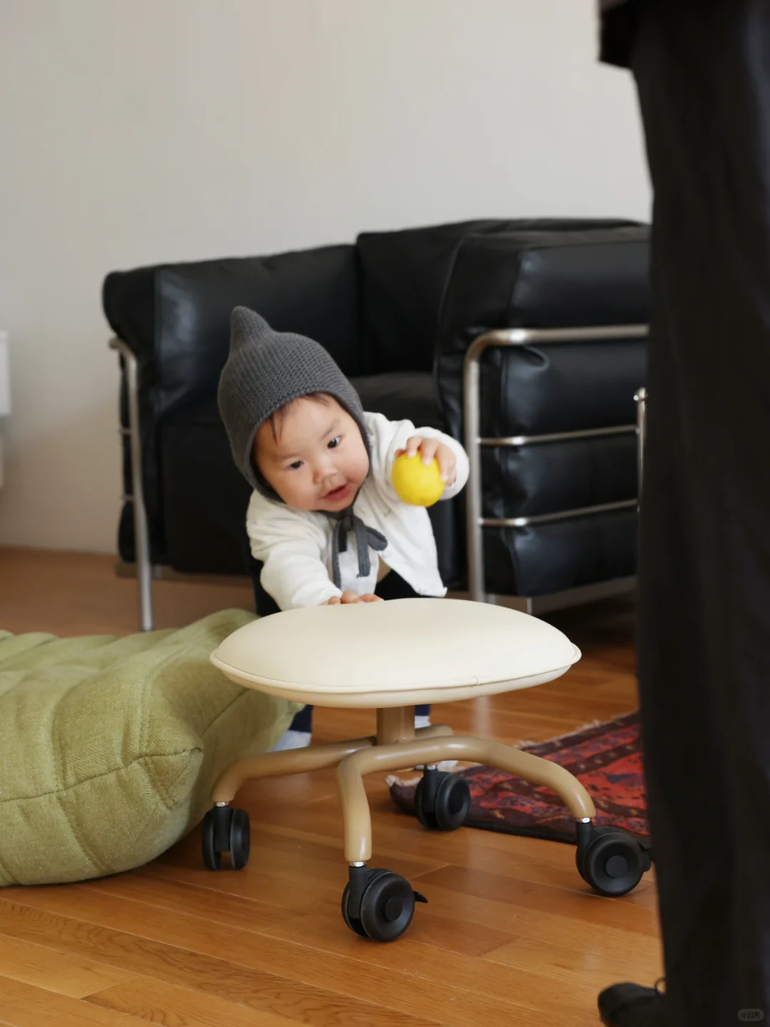 人类幼崽的座驾