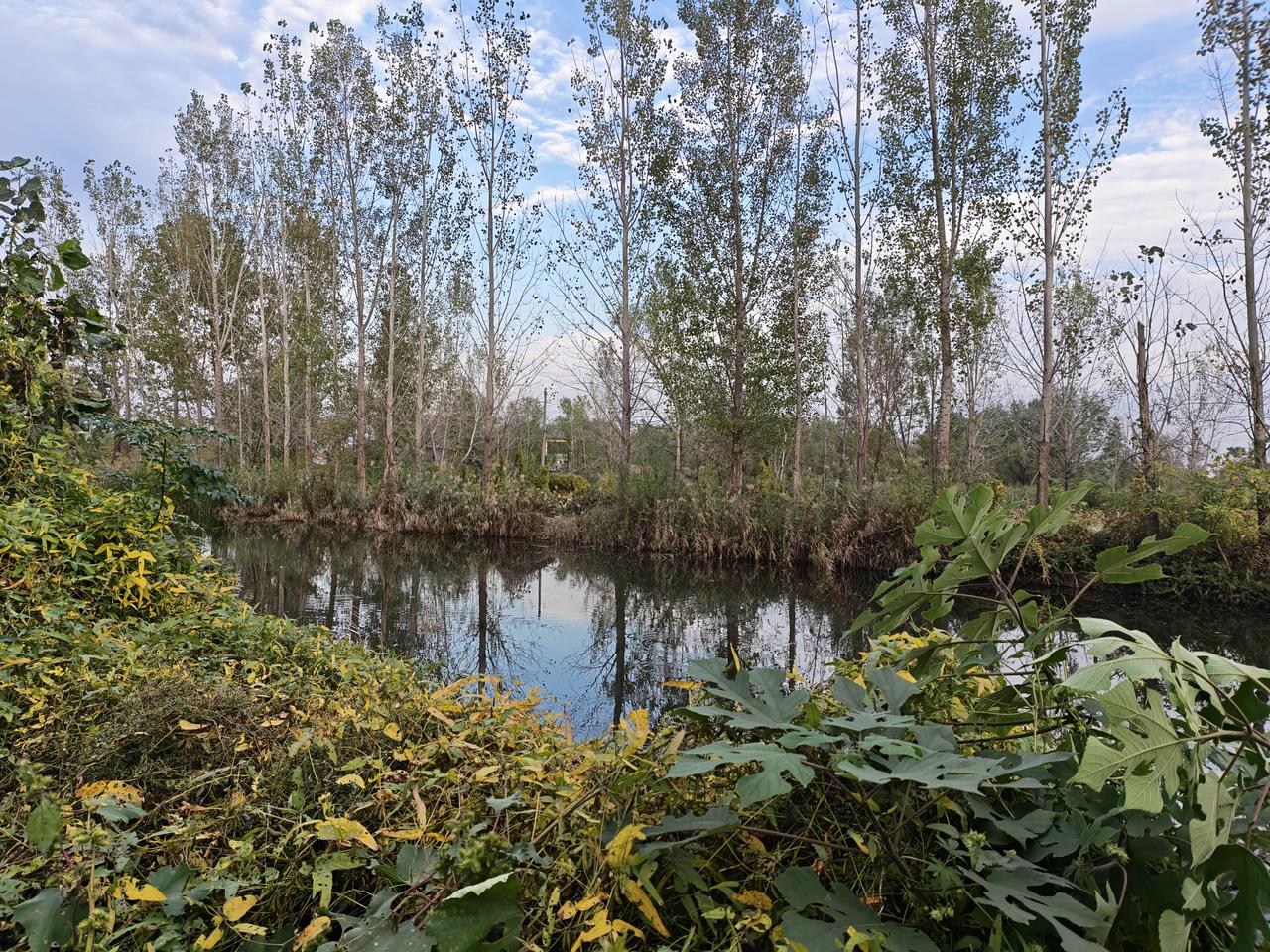 今天总算能睡上几个小时了。失眠缓解了一下。
胸闷也好多了。

只是把评职称的失望