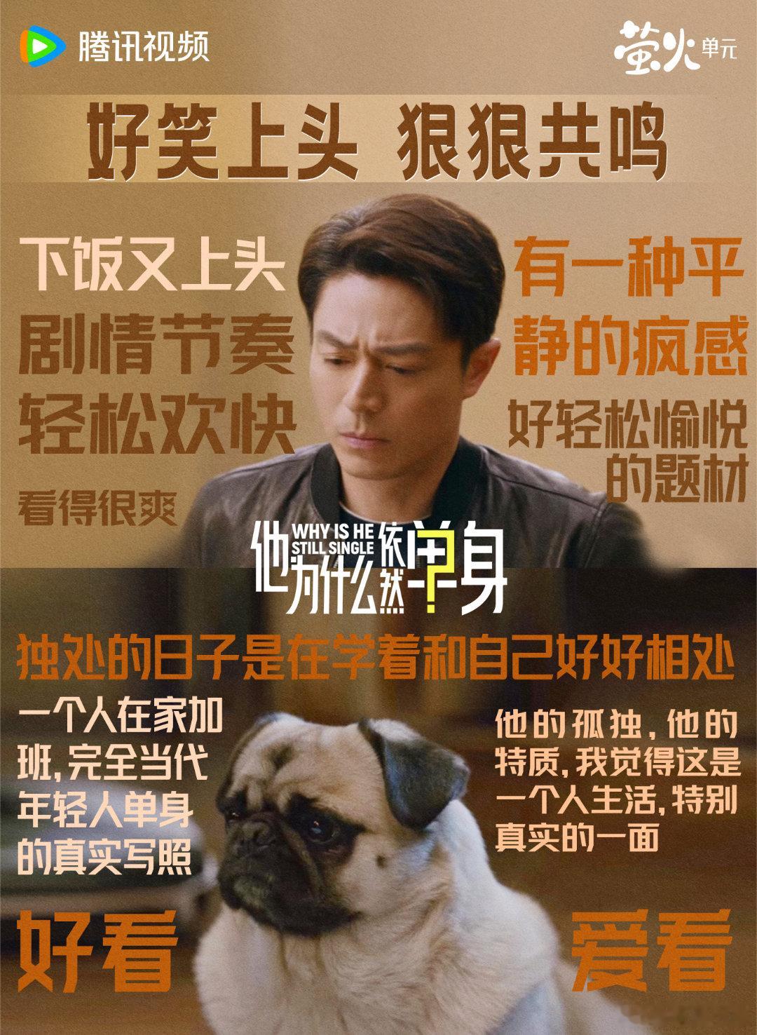 他为什么依然单身海外登顶不被看好却逆袭封神！《他为什么依然单身》登顶Netfli