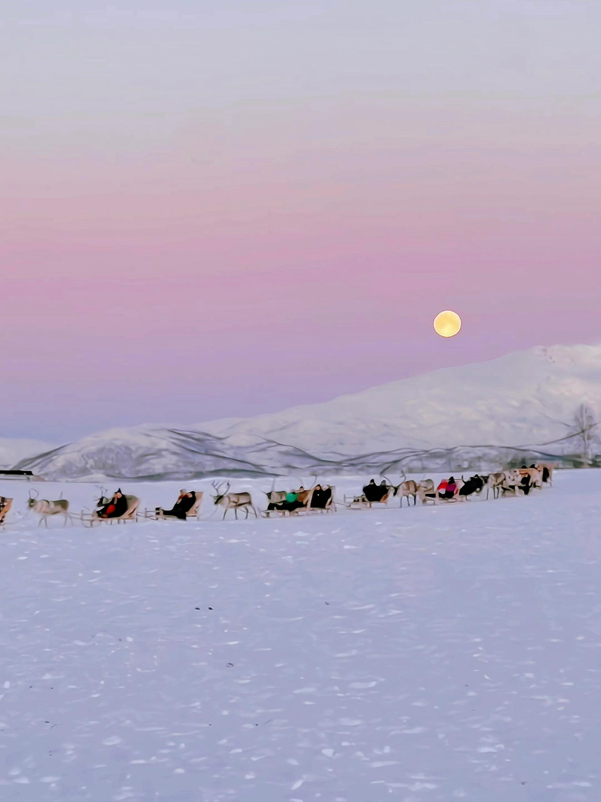 这大概就是live图存在的意义🦌🦌来自北极挪威的粉色落日#95后女生半年内带