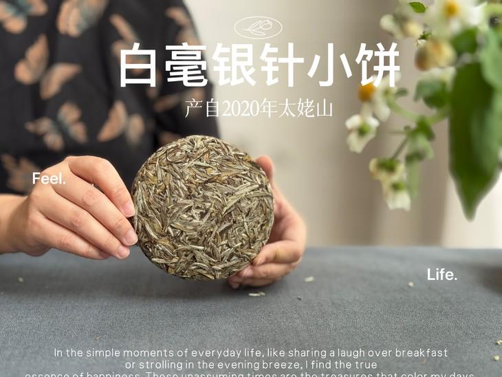 90年代白毫银针，值不值得买？
除非你是不差钱的资深老玩家，否则不建议购买。
白