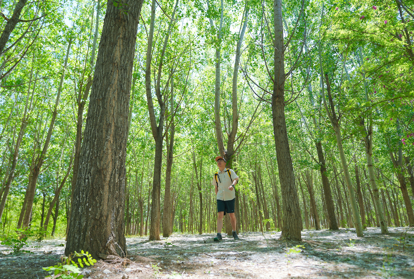 五一跟着春的节奏来场轻徒步！阳光晒得人暖烘烘的，不过最近躺平惯了，走久了膝盖还真