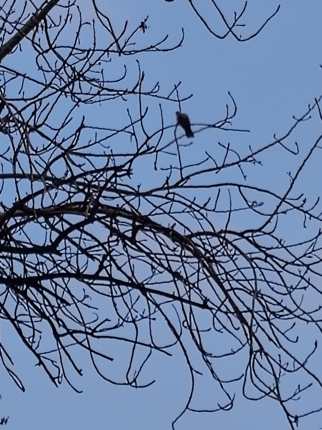得不到往往是德不到，我赞成[赞]，可是：“万物不为我所有，却可为我所用。”我认为
