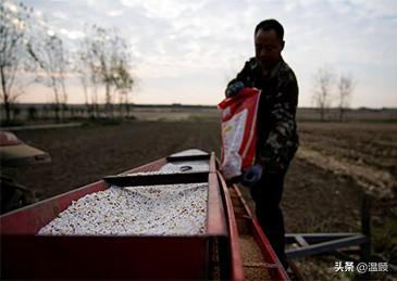 中国暂停磷出口至2026年8月，现在又停止氮钾复合肥出口，最让人担心的事还是来了