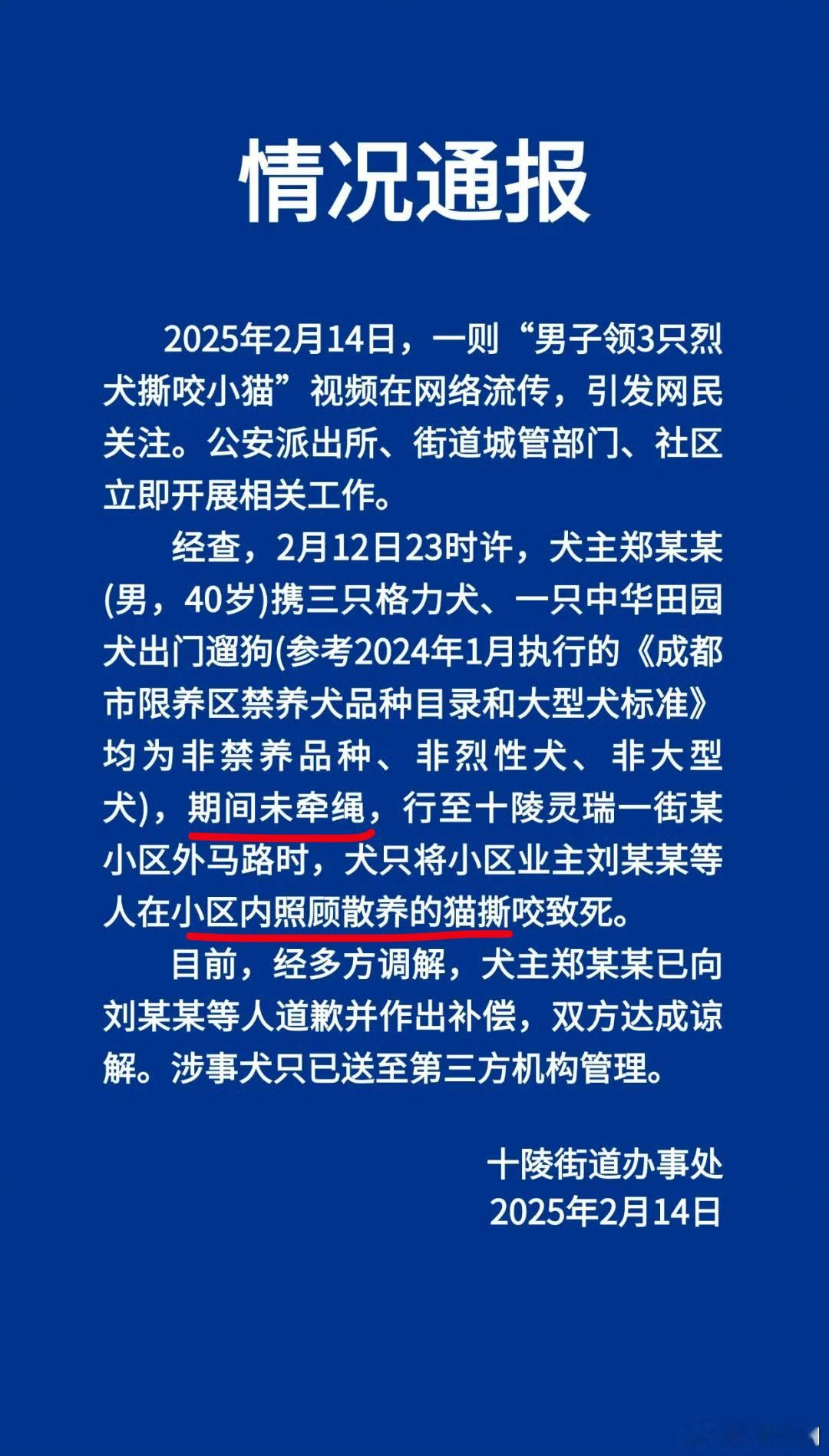 官方通报男子领烈犬撕咬小猫致死 一边是遛狗不栓绳，一边是小区散养猫，狗猫魔法对轰