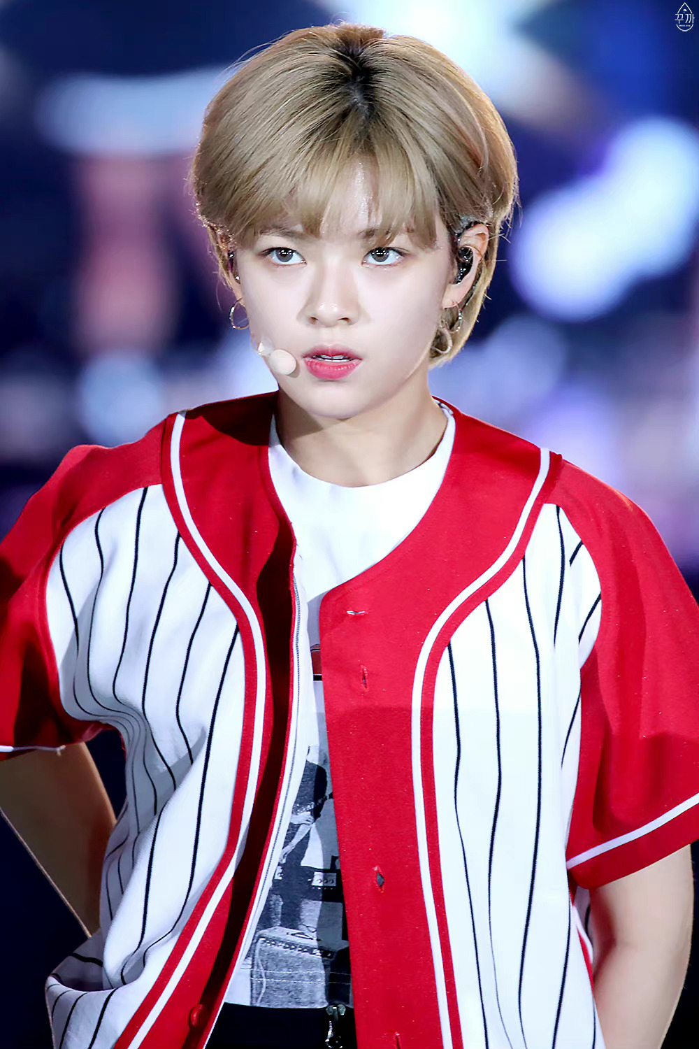 小奶狗                       小狼狗金短 