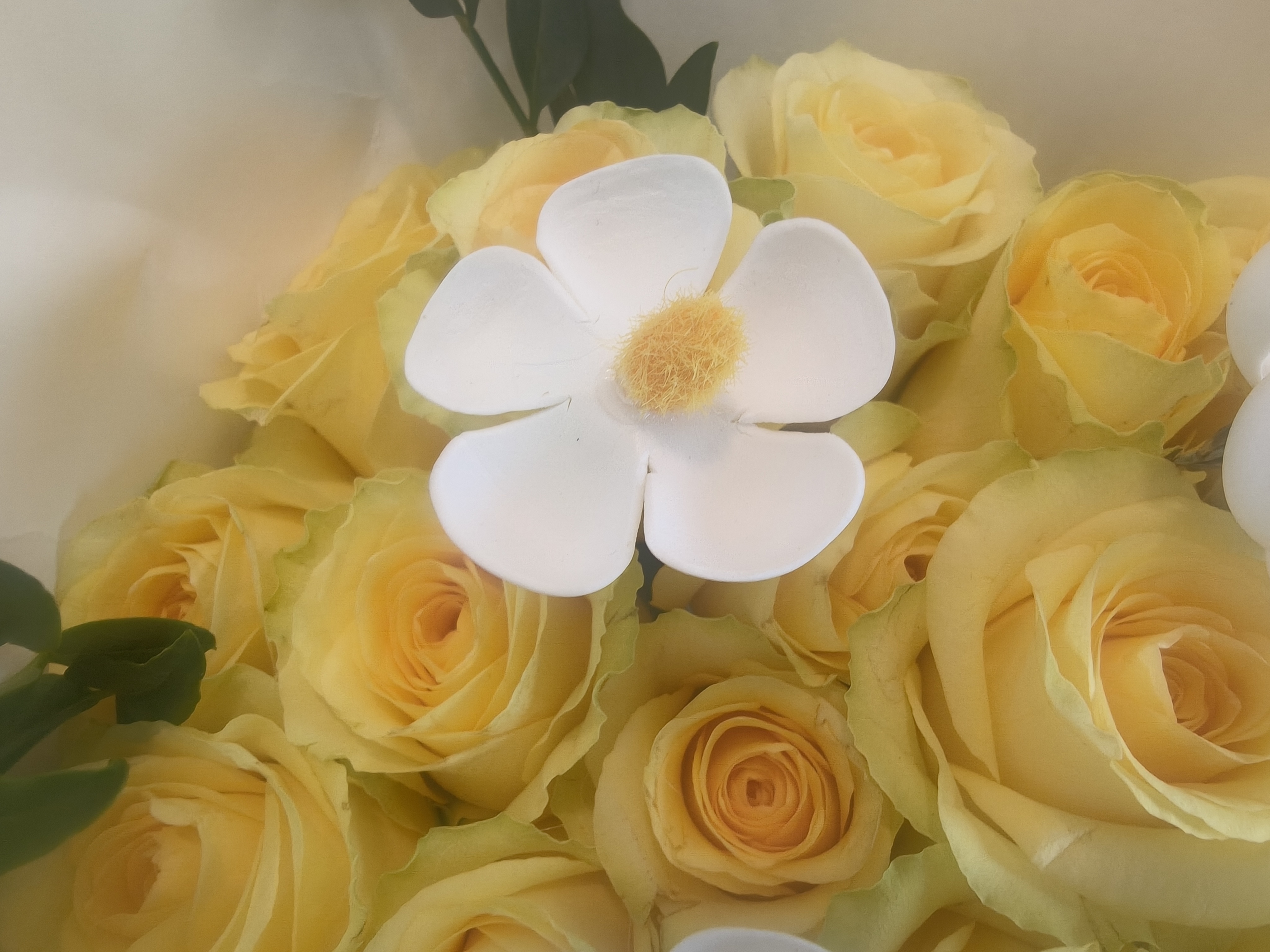 家人们六一快乐🌼🌻🌼🌻 