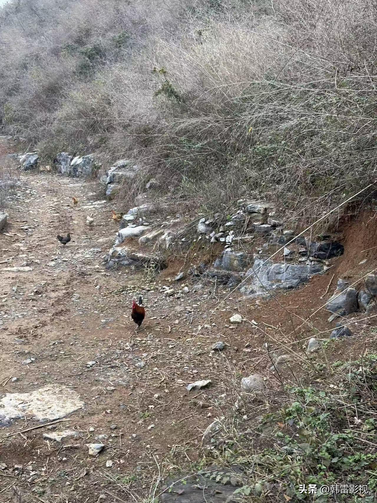 彩礼取消应该是不可能的，但是要因地制宜的合理收取彩礼。不能将婚姻做成一桩买卖。彩