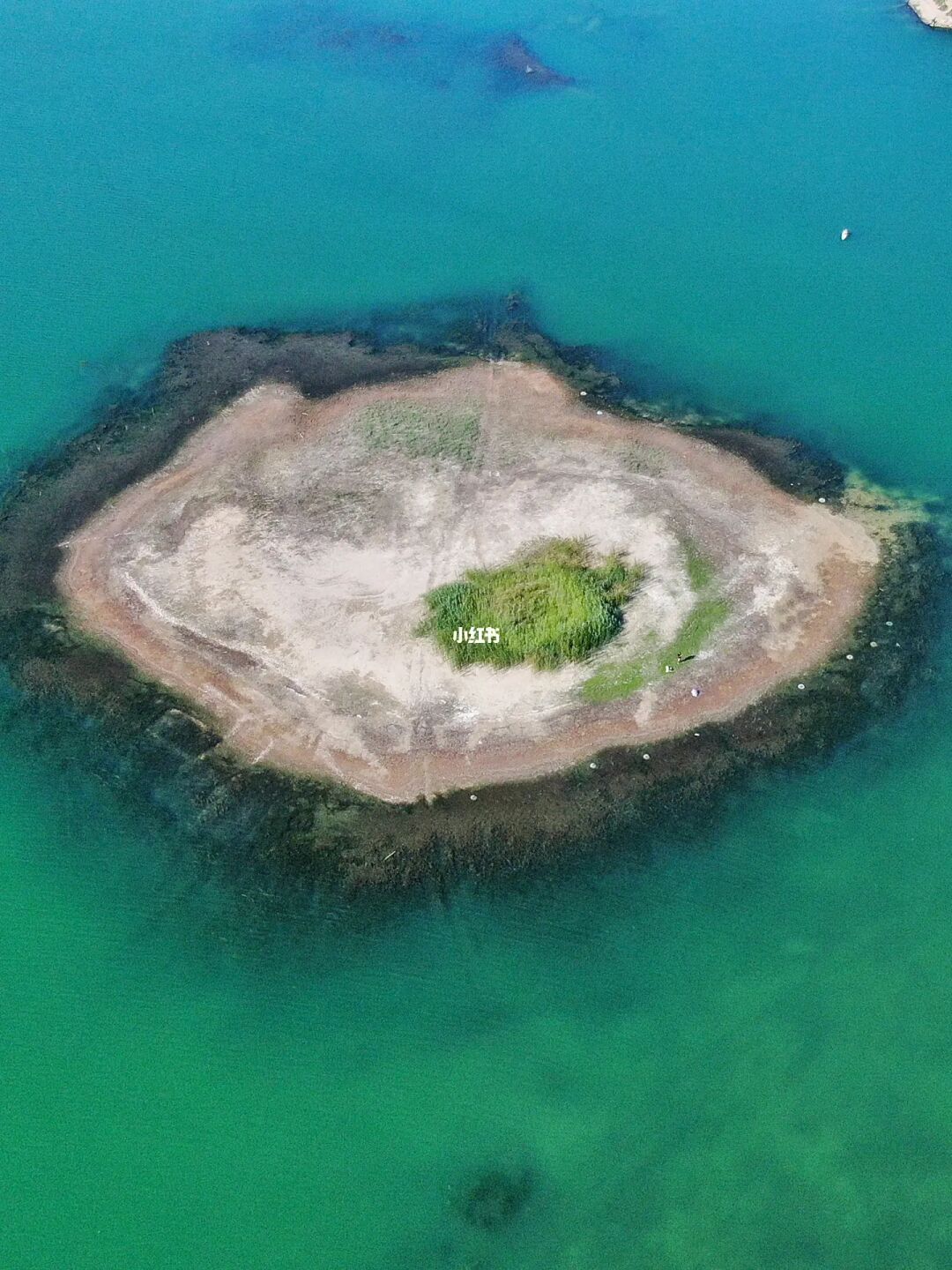 ❗️❗️猕猴桃🥝小岛🏝️不冲一波吗？就在北京⛺️