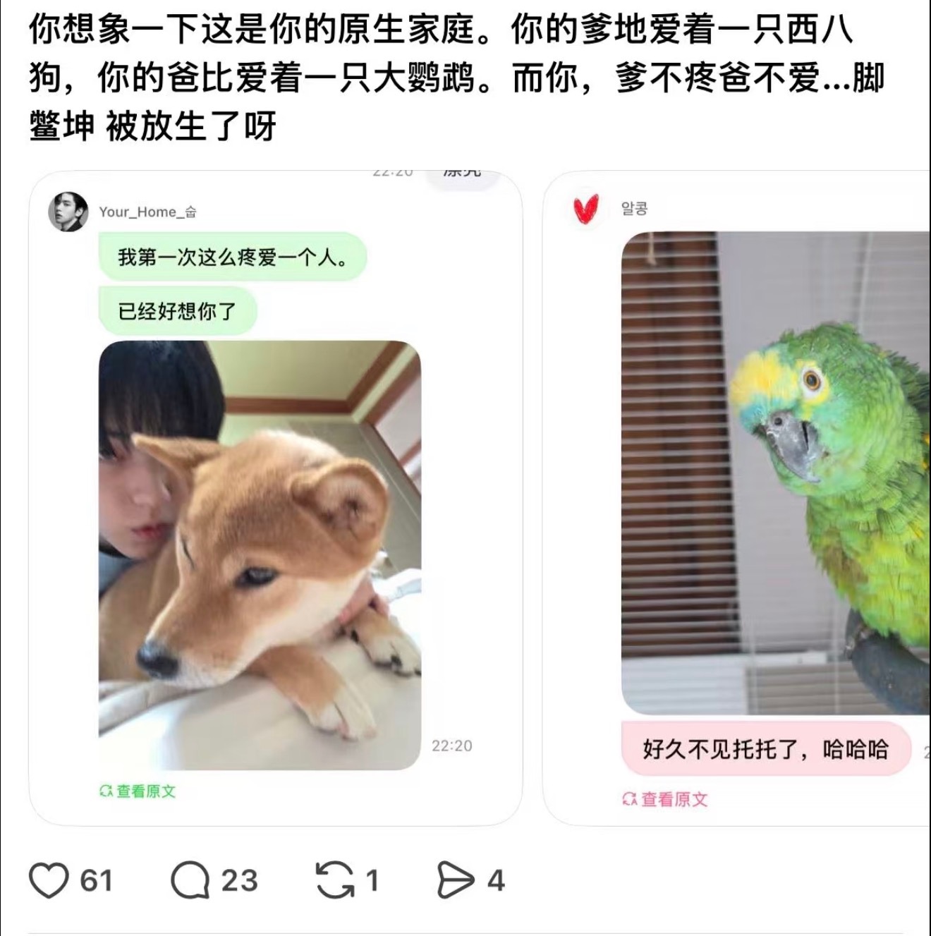 而我彻底破防了 ​​​