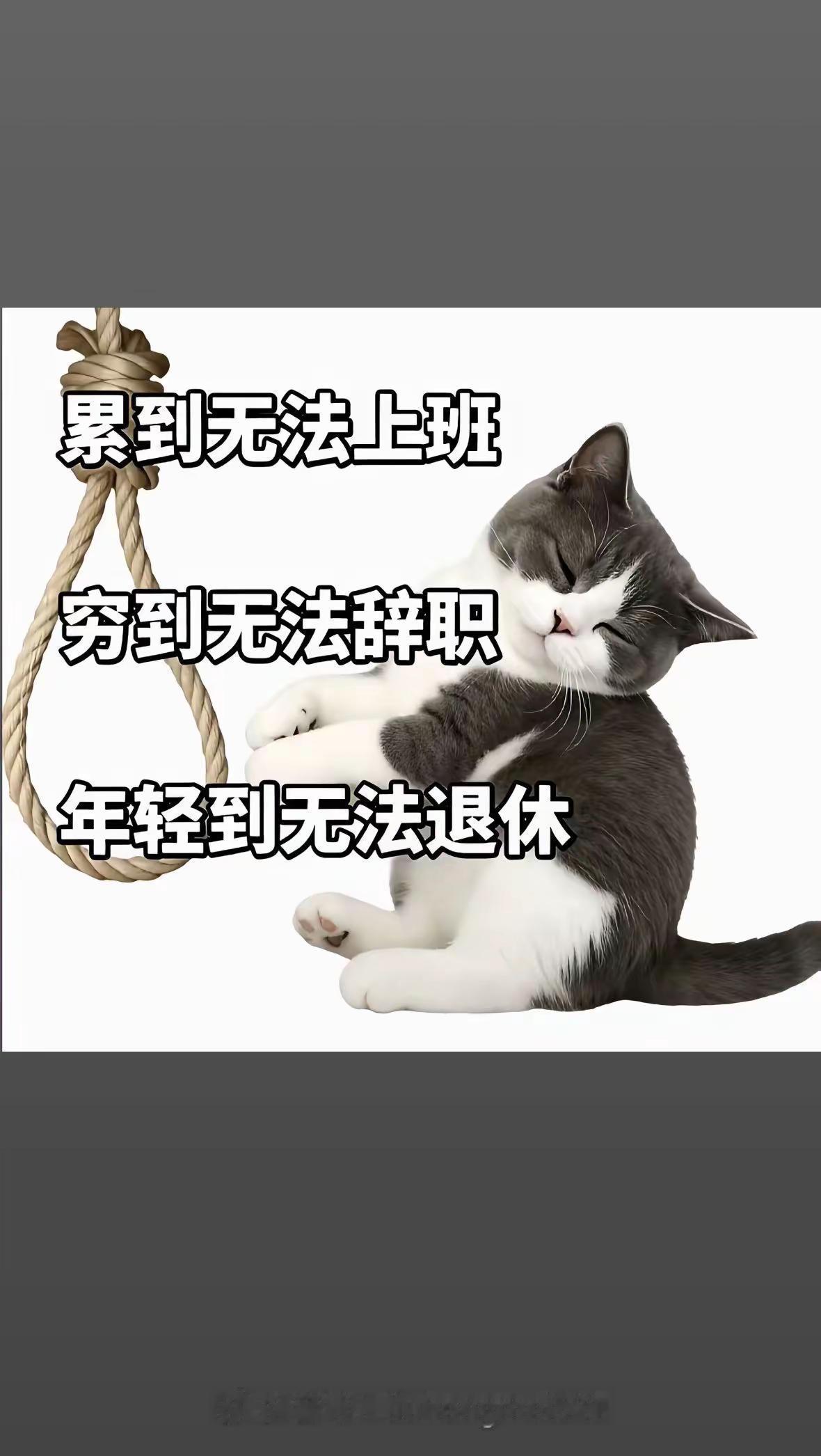 人生中有千万种样子，无能为力的样子！这样、那样、只能这样，也只能那样