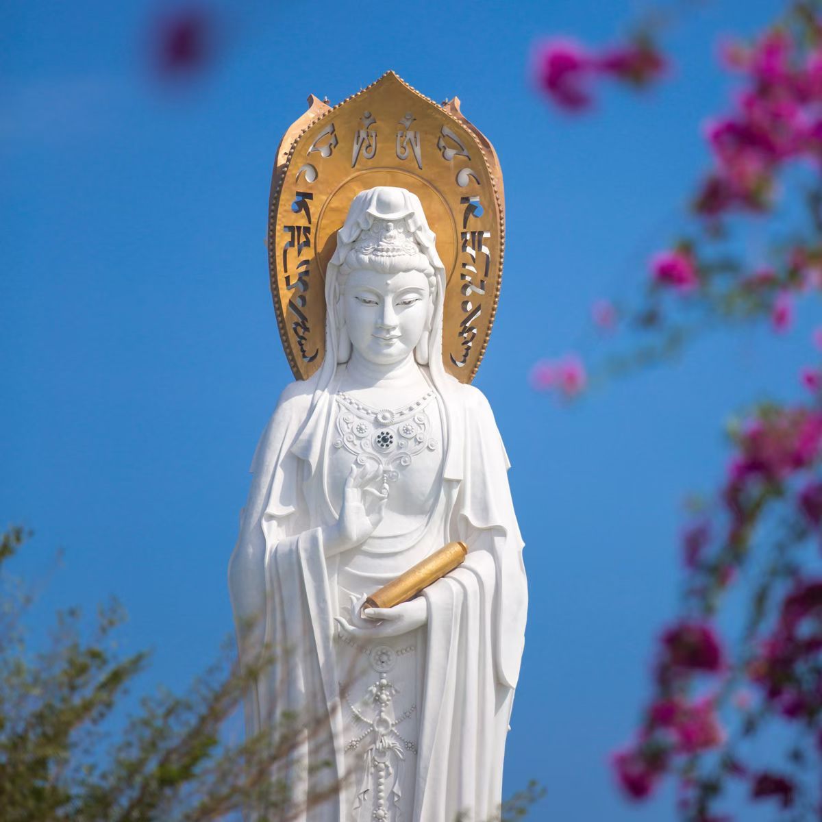 早安吉祥见佛欢喜🍀[祈祷][祈祷][祈祷][祈祷][祈祷][祈祷] ​​​