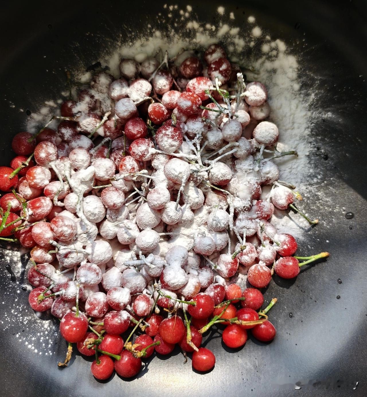 朋友家的樱桃大量上市，肉质Q弹，口感挺好的。

傍晚时分，朋友家的樱桃园，工人还