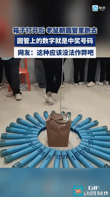 这种选号模式应该不能作弊吧，老鼠跑进哪个管子，完全是本能反应，就跟随机的一样，能