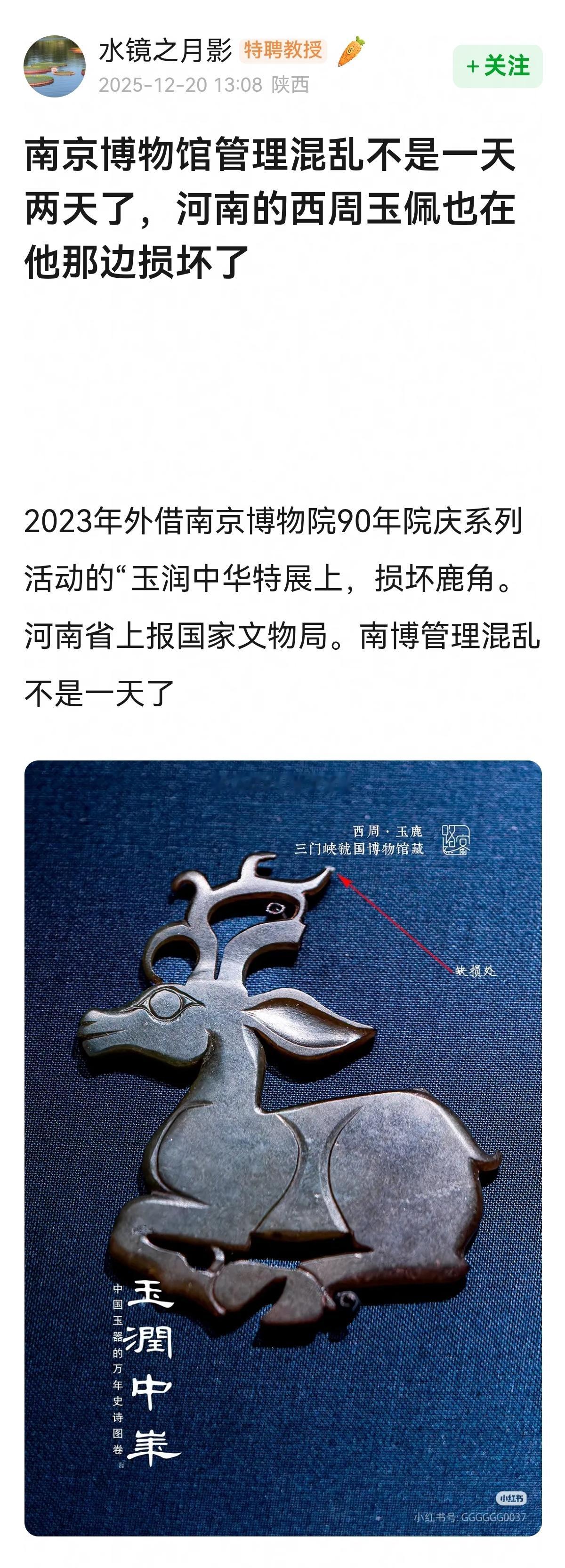 前几天热搜的某地博物馆，管理混乱不是一天两天了