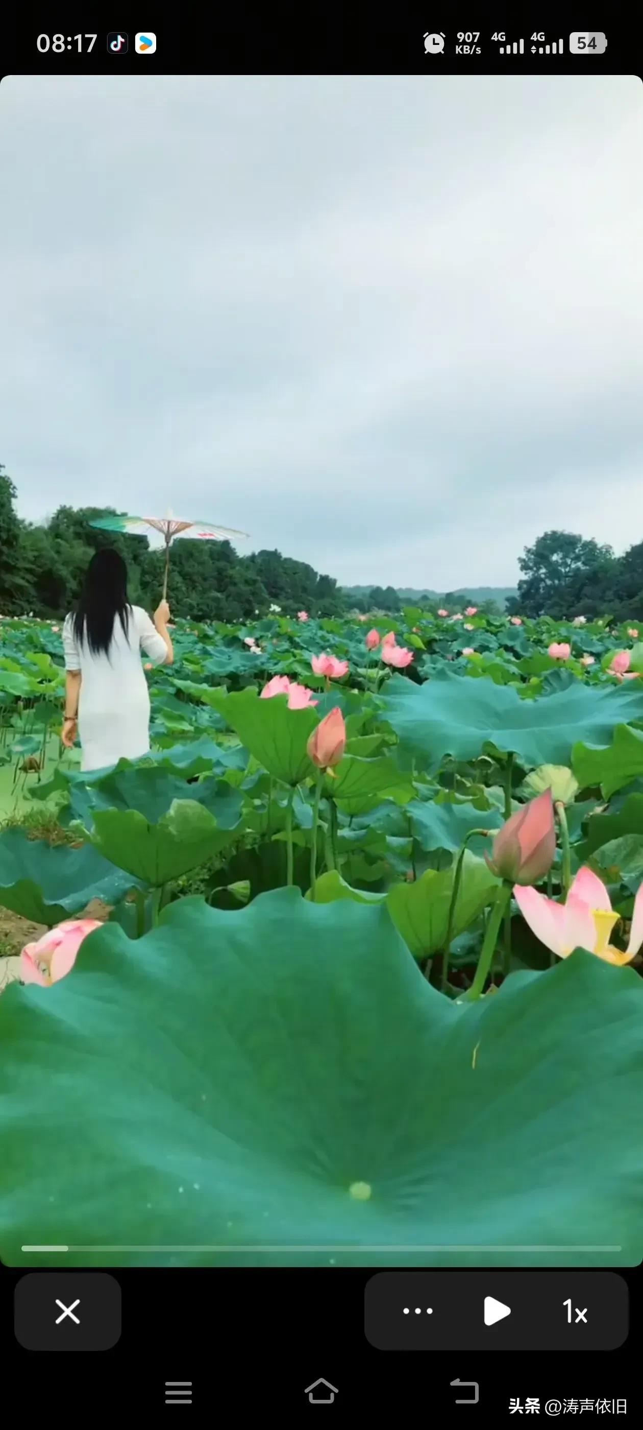 七绝《秋塘遣怀》

残荷褪尽旧时香，
疏叶凌风沐晓光。
不恋浮华存雅韵，
孤蓬傲