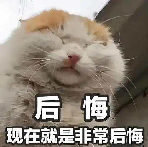 李世民悔杀大臣，设立三五覆奏，成就御史智破贞观奇案

贞观五年（631年），河内