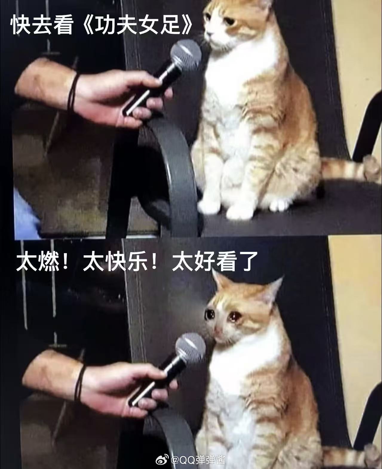 周星驰回应功夫女足破纪录看星爷路演眼圈微红说惭愧，台下喊“一起打破的纪录”，这哪