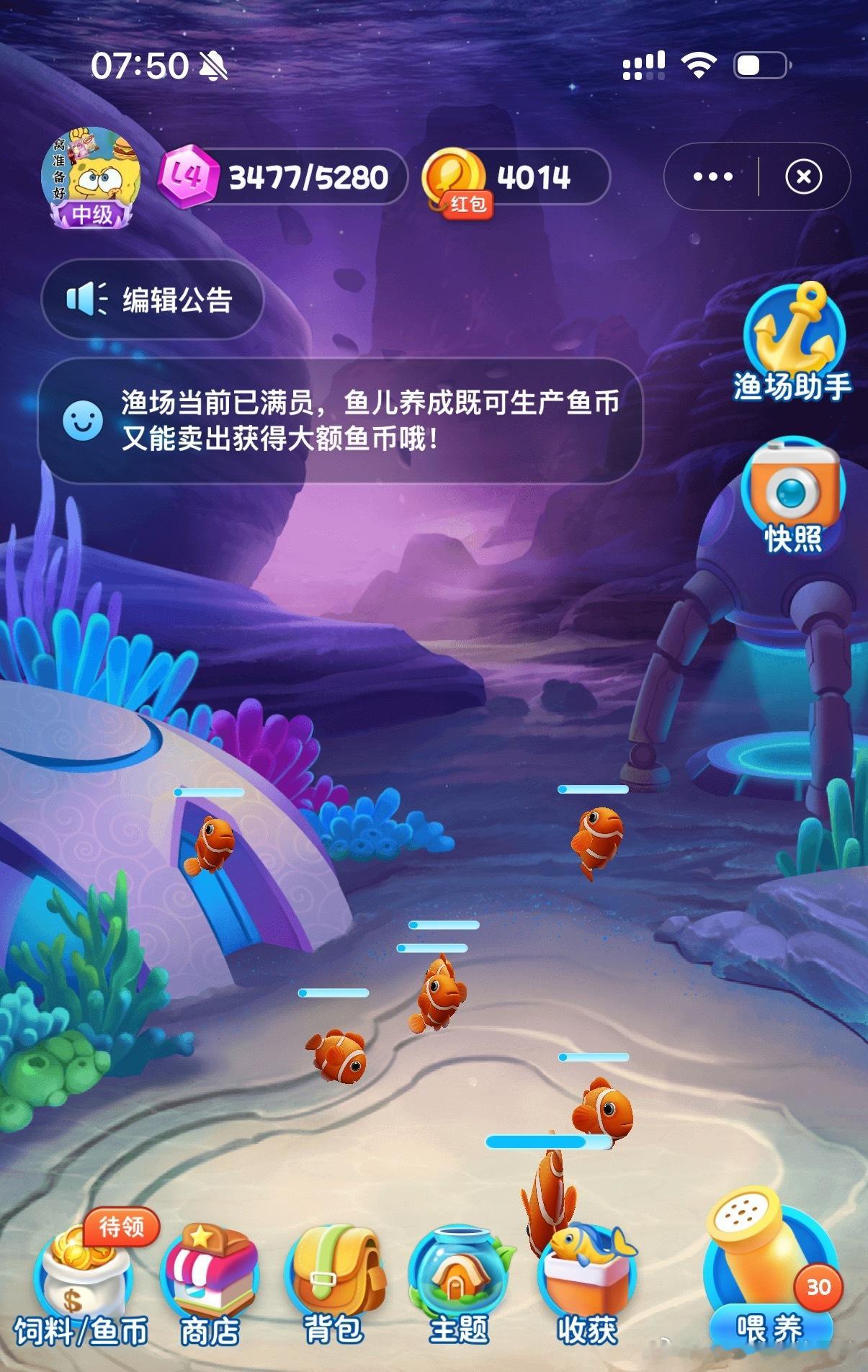 没有椰林缀斜阳，只是一片海蓝蓝~这是渔场
