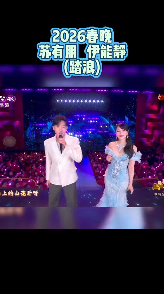 2026春晚苏有朋伊能静(踏浪)。
踏浪，在车月，小的一片云呀，慢地走过来，你们