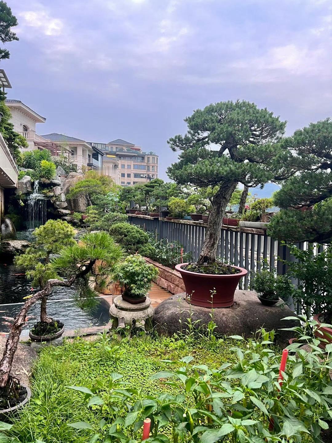 锦绣天地，万里清光，所见皆温柔，所遇皆值得。 ​​​