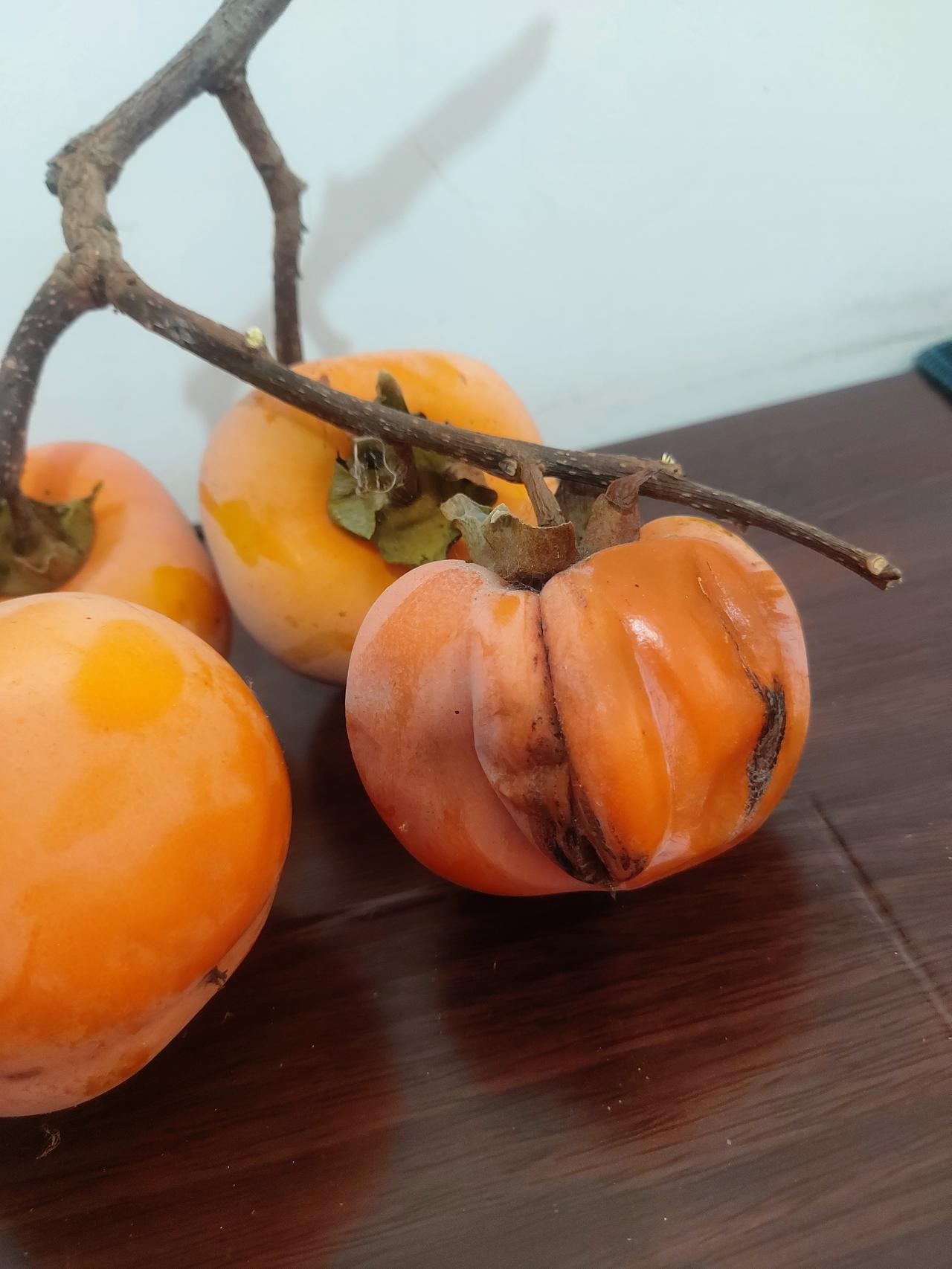 祝各位条友2026柿柿如意。发大财。
互关故意。谢谢大家！