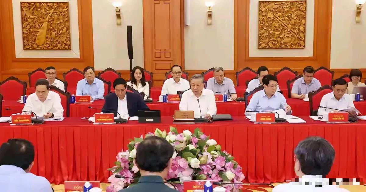 一席两票，越南政坛最高层格局，由“四驾马车”共治，以苏林为首负责党务、梁强负责元