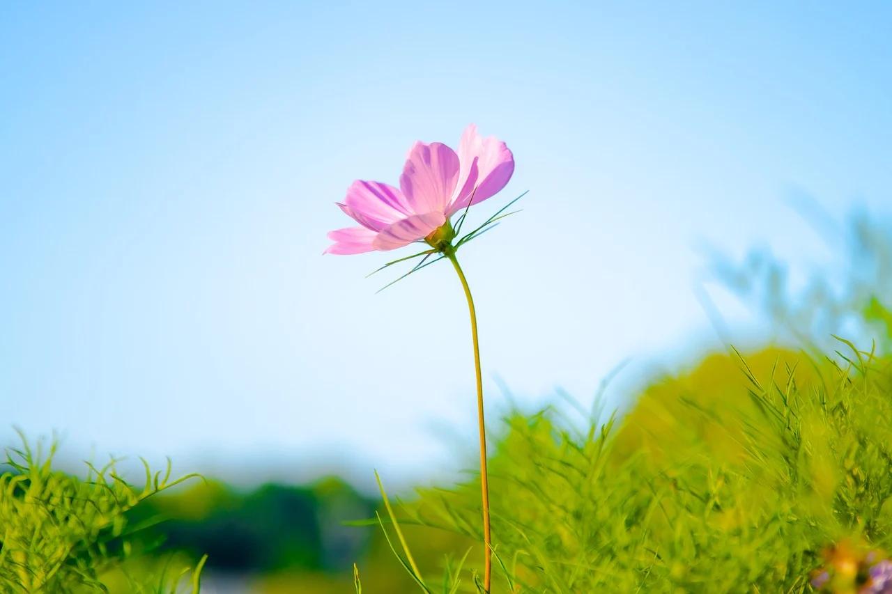婆婆住院，发现这个世界太小了！
我婆婆动了个手术，住院一周多了，老公请假照顾。他