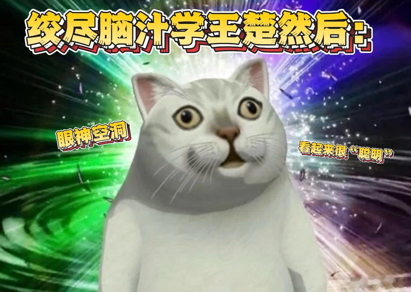 王楚然我学王楚然看仇人的眼神belike王楚然让我们大家都感受到了这一段情绪的递