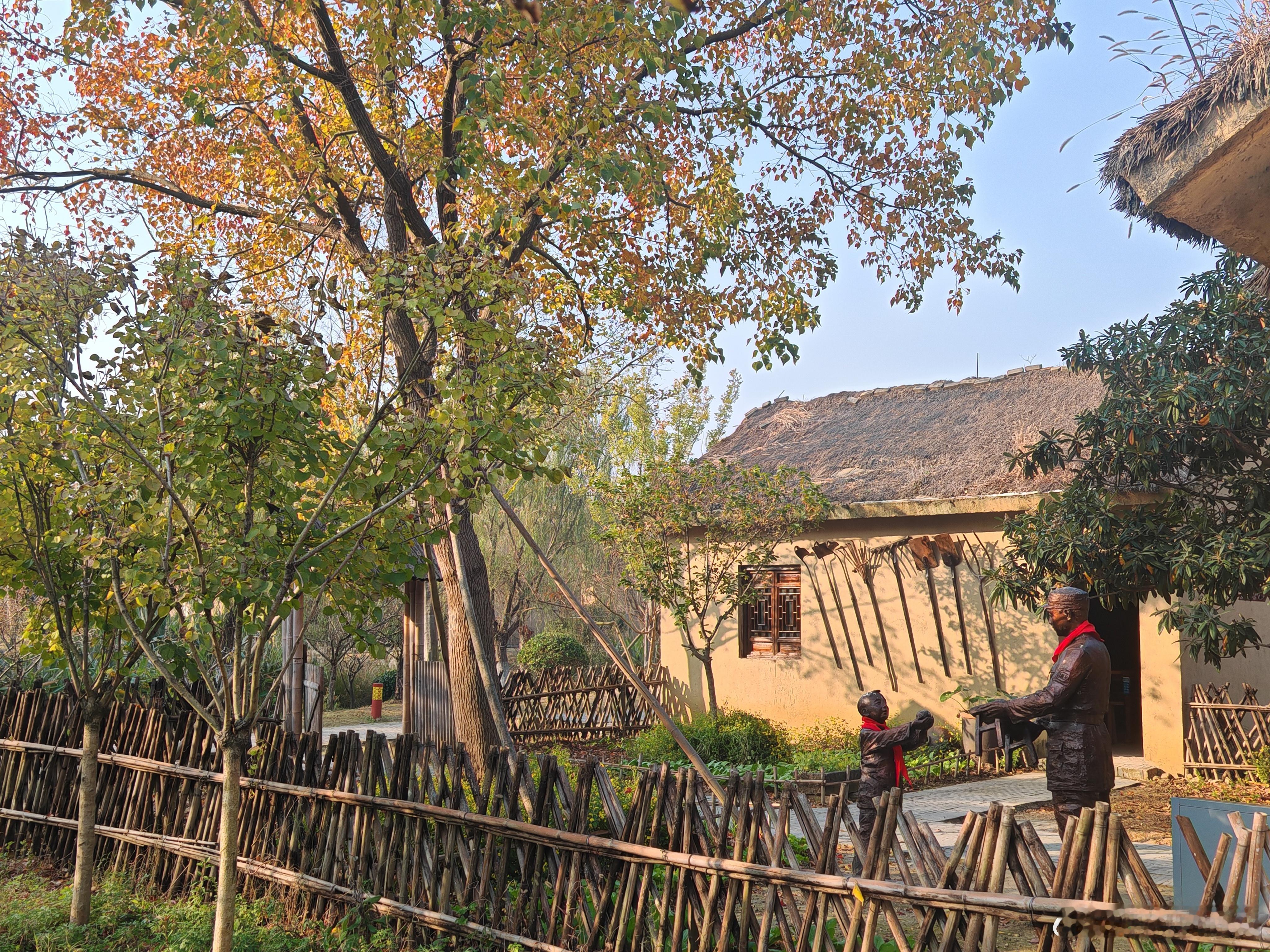 天气真好，空气清新，开始学习啦。 