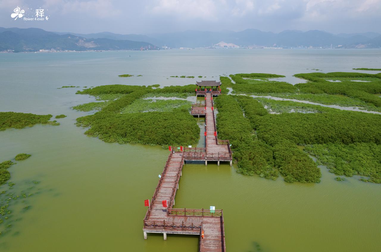福建三大鹤岗之一，罗源湾评测
国庆第一天去了罗源湾，毕竟这边离我所住的贵安最近，