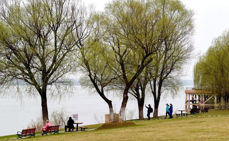 AI妙生图春风吹绿江南岸。