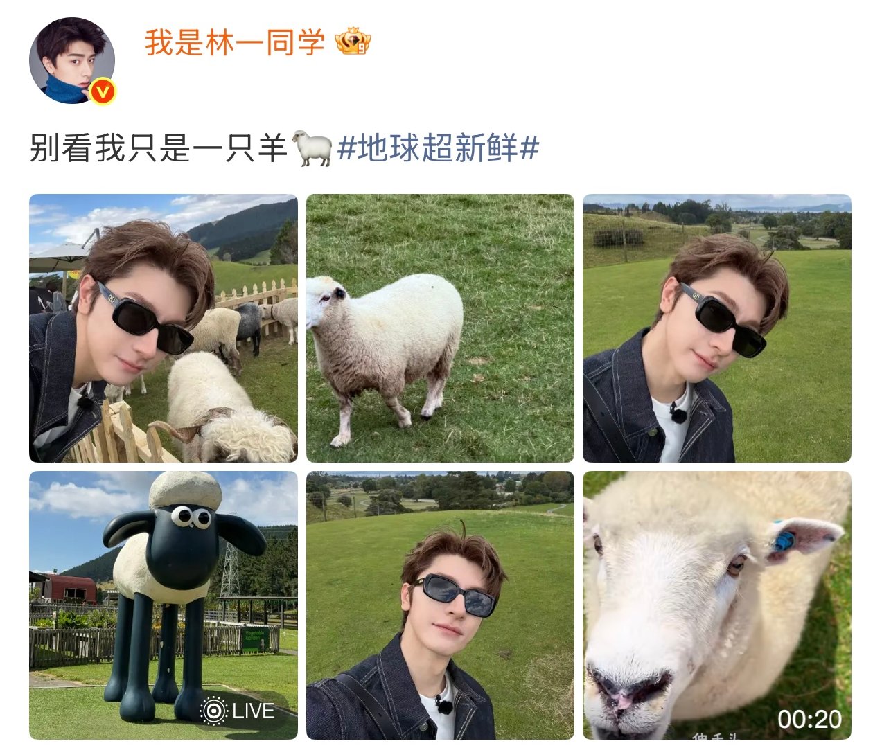 林一别看我只是一只羊哈哈哈哈哈林一别看我只是一只羊 