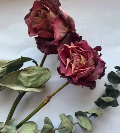 卵巢早衰分三级，你在哪一级？ 卵巢早衰其实是个分等级的“病”，下面我来...