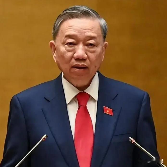 苏林刚从北京回去，椅子还没坐热，一个个麻烦就来了。

苏林这趟中国行，排面确实不