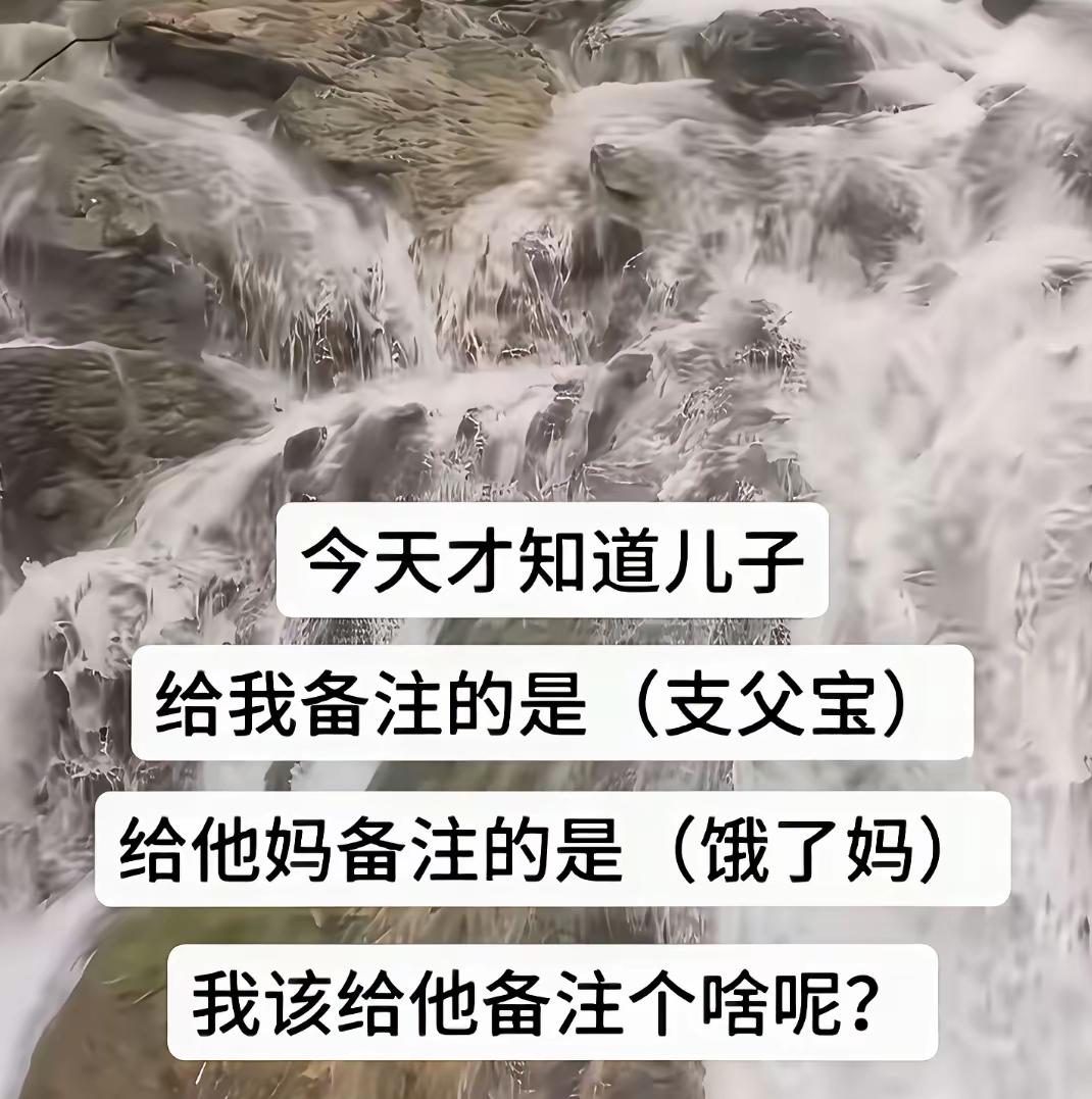 今天无意之中看到了儿子给我和孩子爸爸，在手机通讯录上的备注绰号[捂脸]

孩子爸