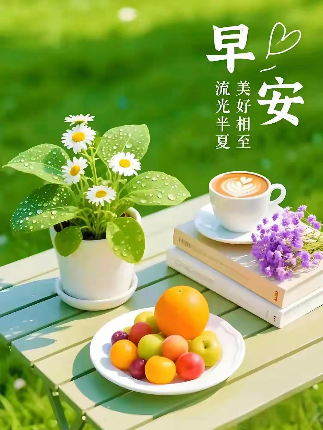 早安吉祥！新的一天又开始啦，感觉生活就像开盲盒，永远不知道下一秒会遇到啥惊喜。就