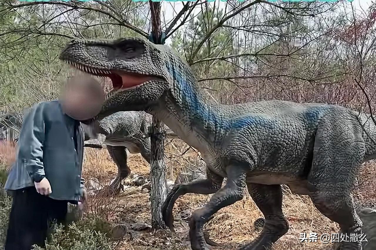 本世纪，第一个被恐龙咬伤的人类！

东北某景区，一名成年人被恐龙咬伤，所幸伤势不