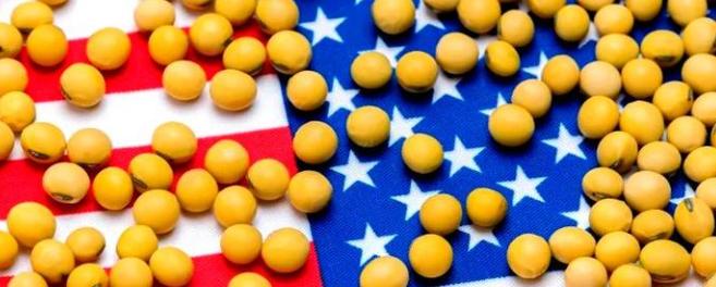 11月份马上就要进口美豆了，值得关注的是，一向以“质优价高”著称的美国大豆，报价