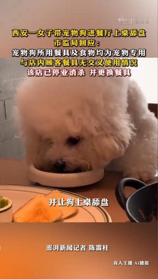 日常外出就餐，大家最在意的就是门店卫生和用餐安全，绝大多数餐饮店都严格遵守卫生规