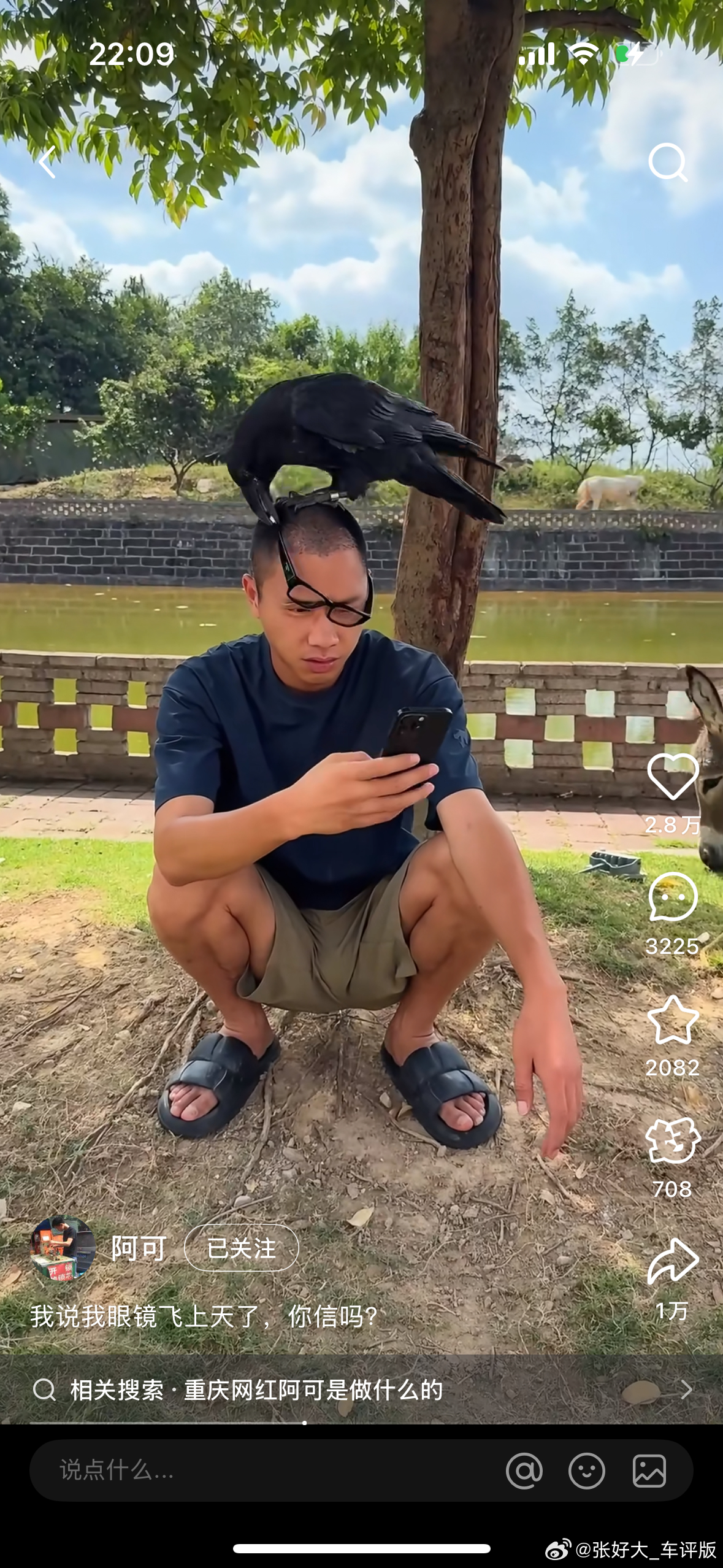 给大家推荐一个我超级喜欢的博主。他救下来了好多小动物，然后和这些小动物们在自己的