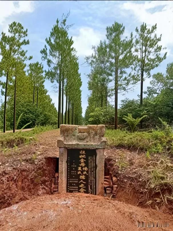 山边上发现一座古墓，墓碑上右边写着杨孺人，左边写着夏孺人，在古代时期孺人可是七品