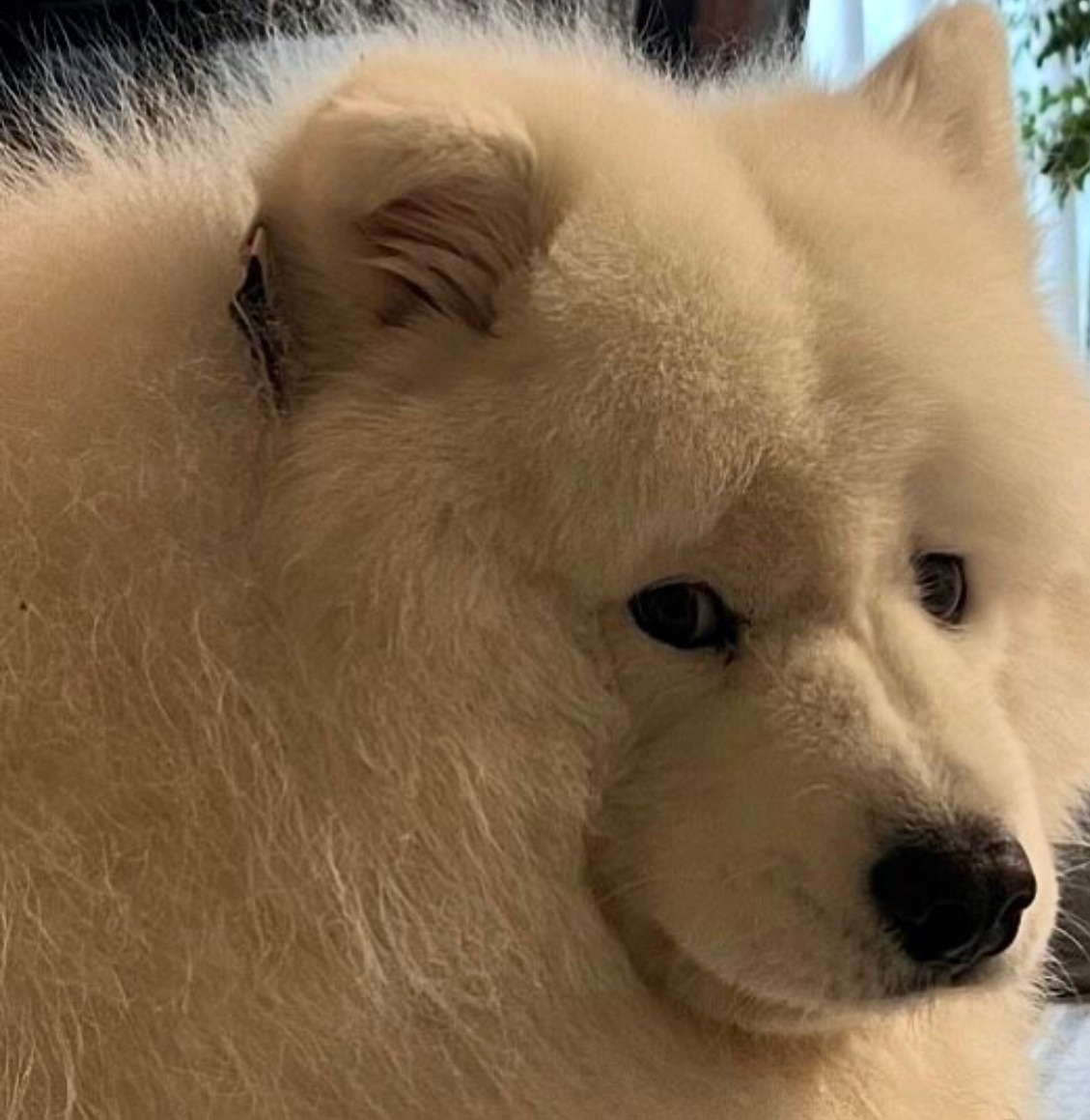 妈妈，我又饿了耶... ​​​